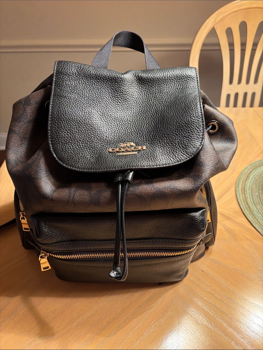 Coach Black and Brown Pebbled Leather Drawstring Backpack